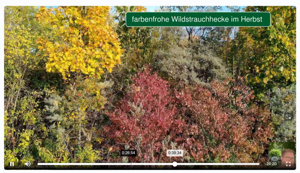 bäume und sträuche zur erhöhung der artenvielfalt
